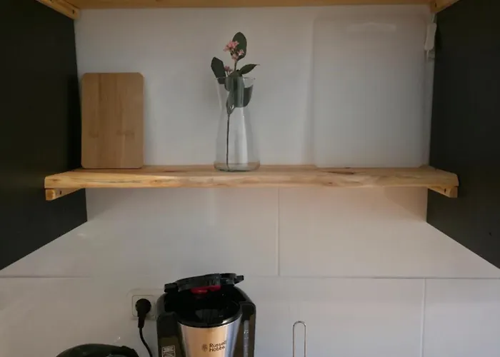 Ruhiges Leipziger Neuseenland, Direkte S-bahn Anbindung Leipzig Sowie Messe * Neukieritzsch